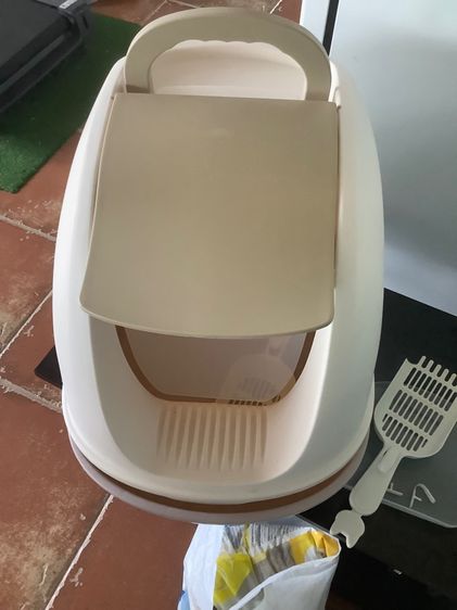 ห้องน้ำน้องแมว