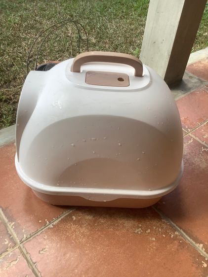 ห้องน้ำน้องแมว รูปที่ 6