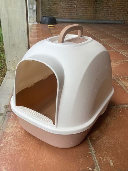 ห้องน้ำน้องแมว รูปที่ 4