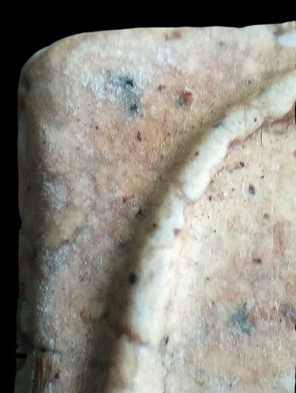 หลังกาบหมาก. รูปที่ 10