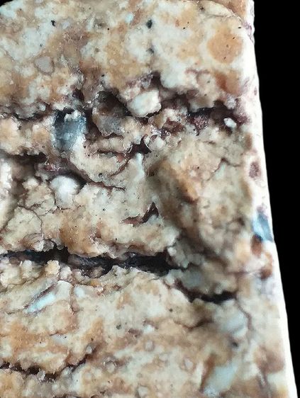 หลังกาบหมาก. รูปที่ 17