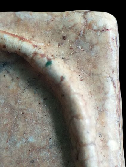 หลังกาบหมาก. รูปที่ 13