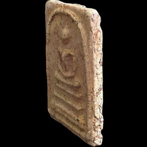 หลังกาบหมาก. รูปที่ 3