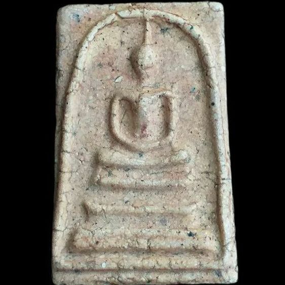 หลังกาบหมาก.