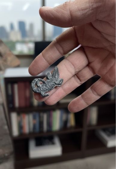 จรเข้ รูปที่ 2