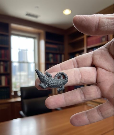 จรเข้ รูปที่ 6