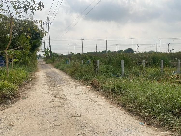 ขายที่เปล่า 101 ตรว. ไกล้สนามบิน เจ้าของขายเอง รูปที่ 3