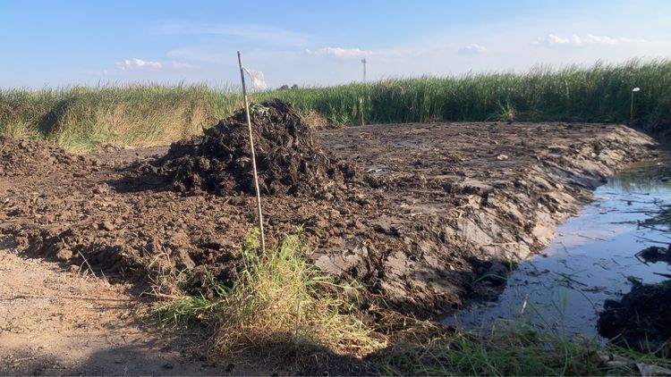 ขายที่เปล่า 101 ตรว. ไกล้สนามบิน เจ้าของขายเอง รูปที่ 4