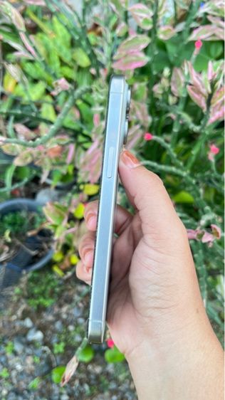 ไอโฟน 15 promax 256gb รูปที่ 6