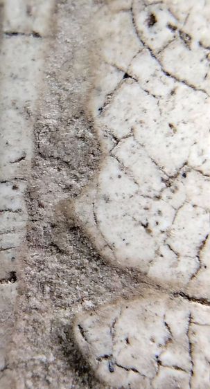 พระสมเด็จวัดระฆัง บางขุนพรหม เกศไชโย หลวงปู่ภู หลวงปู่นาค รูปที่ 17