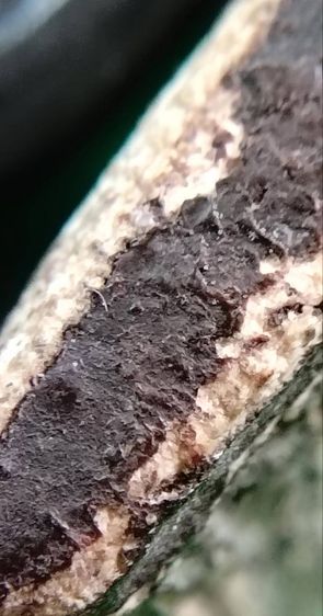 พระสมเด็จวัดระฆัง บางขุนพรหม เกศไชโย หลวงปู่ภู หลวงปู่นาค รูปที่ 12