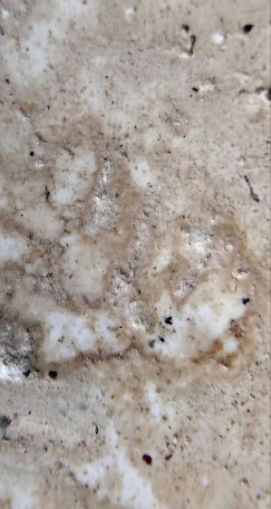 พระสมเด็จวัดระฆัง บางขุนพรหม เกศไชโย หลวงปู่ภู หลวงปู่นาค รูปที่ 18