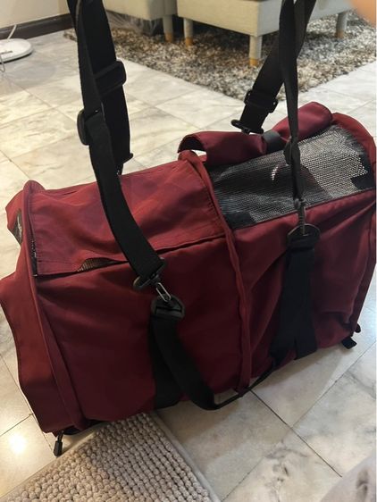 กระเป๋าใส่สัตว์เลี้ยง