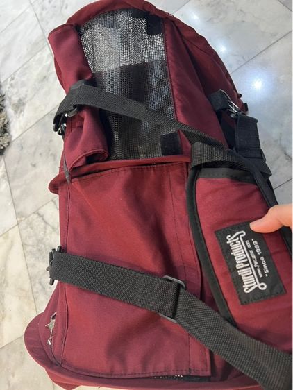 กระเป๋าใส่สัตว์เลี้ยง รูปที่ 3