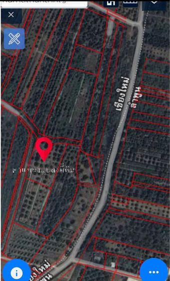 ไม่ใช่ ที่ดินสวนลำไย รูปที่ 3