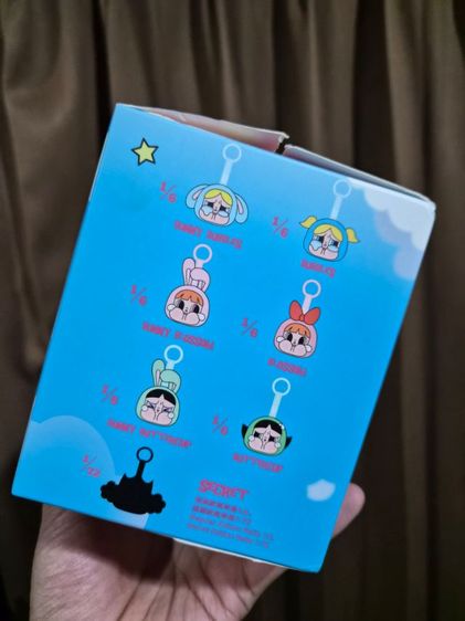 กล่องจุ่ม Powerpuff Girls รูปที่ 2