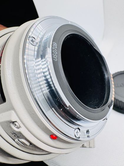 เลนส์ Canon EF 100-400mm F4.5-5.6L Is USM รูปที่ 12