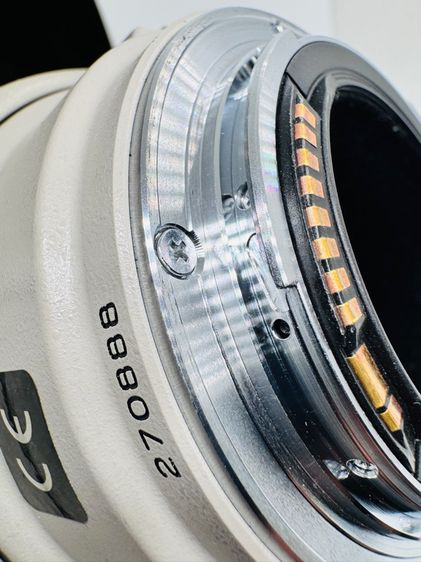 เลนส์ Canon EF 100-400mm F4.5-5.6L Is USM รูปที่ 10