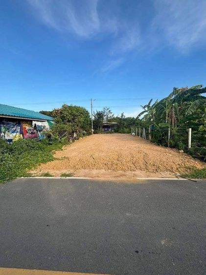 ที่ดิน 37 ตารางวา ถมแล้ว อำเภอกำแพงแสน จังหวัดนครปฐม รูปที่ 3