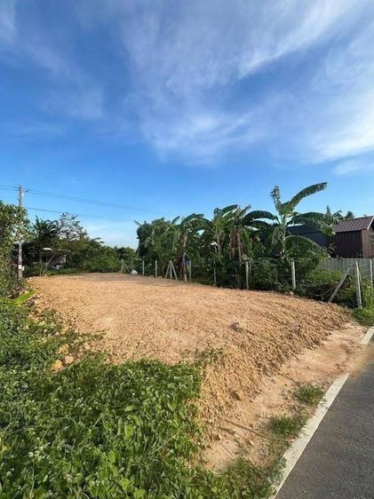 ที่ดิน 37 ตารางวา ถมแล้ว อำเภอกำแพงแสน จังหวัดนครปฐม รูปที่ 4