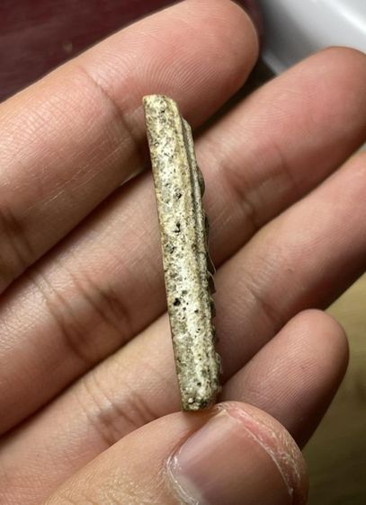 พระสมเด็จวัดระฆังพิมพ์ใหญ่ รูปที่ 3