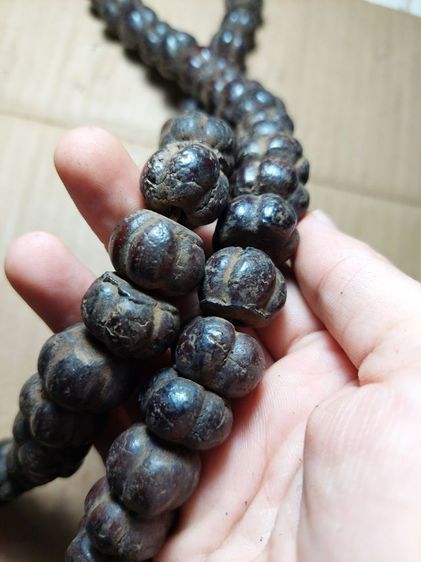 เครื่องรางประคำเม็ดมะยมเนื้อผงว่านยาหลวงปู่บุญวัดกลางบางแก้วมีฝังตะกรุดทุกเม็ด รูปที่ 4