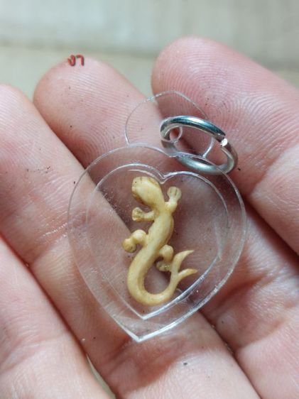 เครื่องรางจิ้งจกหลวงปู่หน่ายวัดบ้านแจ้งอยุธยา