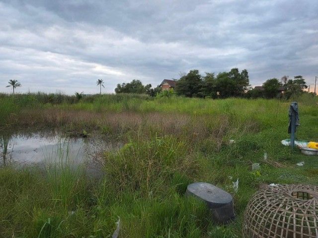 ใช่ ขายที่ดินสวยๆด่วนจร้า สุวินทวงค์51 รูปที่ 2