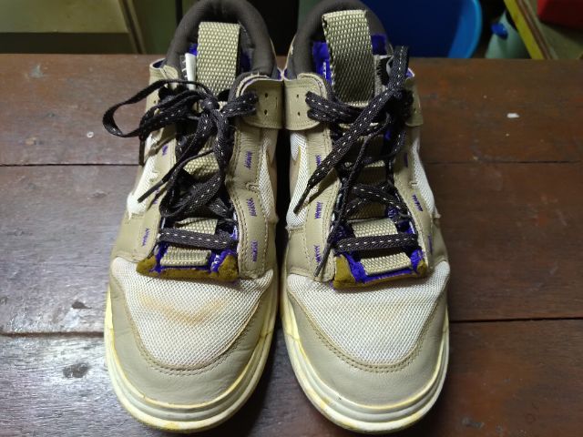 Nike Air Dunk Jumbo Mushroom Size 11 US