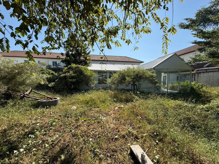 ให้เช่า ที่ดินทำเลทอง 2 ไร่เศษ ติดราชพฤกษ์-นครอินทร์ พร้อมอาคารสไตล์ Studio (อดีต Wedding Studio) ตกแต่งสวย พร้อมใช้งาน รูปที่ 2