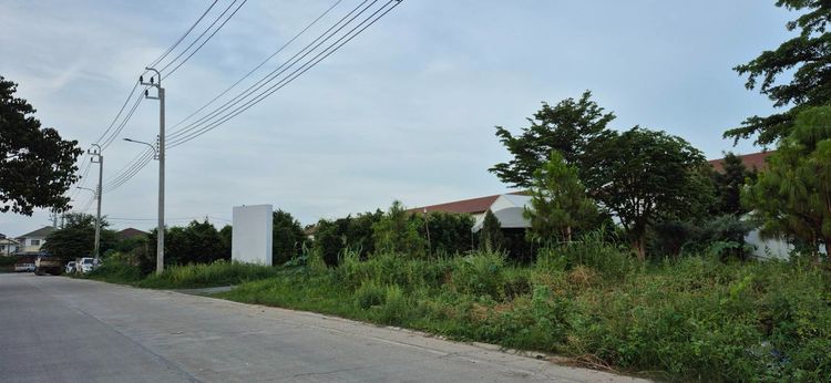 ให้เช่า ที่ดินทำเลทอง 2 ไร่เศษ ติดราชพฤกษ์-นครอินทร์ พร้อมอาคารสไตล์ Studio (อดีต Wedding Studio) ตกแต่งสวย พร้อมใช้งาน รูปที่ 3