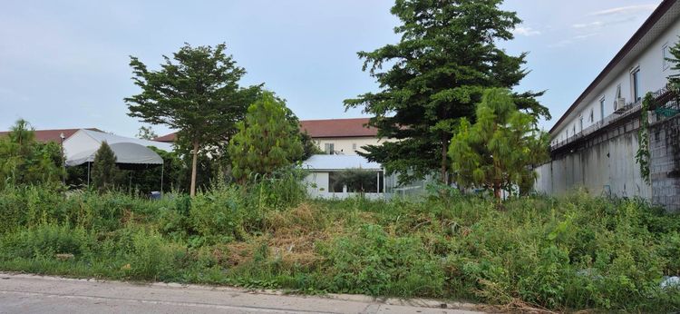 ให้เช่า ที่ดินทำเลทอง 2 ไร่เศษ ติดราชพฤกษ์-นครอินทร์ พร้อมอาคารสไตล์ Studio (อดีต Wedding Studio) ตกแต่งสวย พร้อมใช้งาน รูปที่ 4