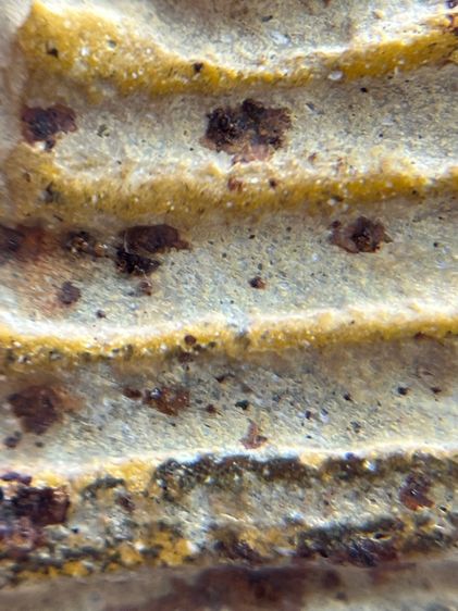 พระสมเด็จวัดระฆังพิมพ์ใหญ่ห้าเหลี่ยม รูปที่ 8