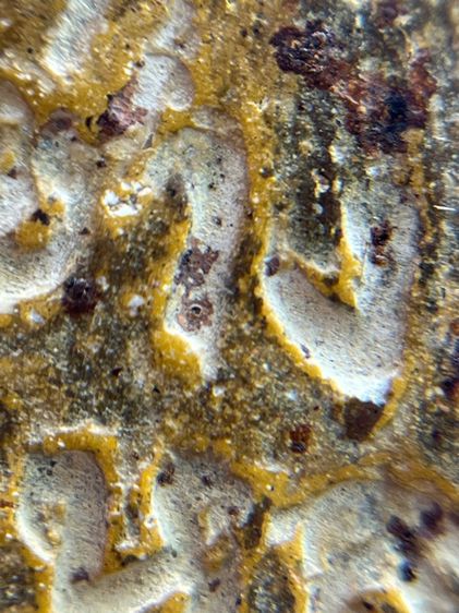 พระสมเด็จวัดระฆังพิมพ์ใหญ่ห้าเหลี่ยม รูปที่ 15