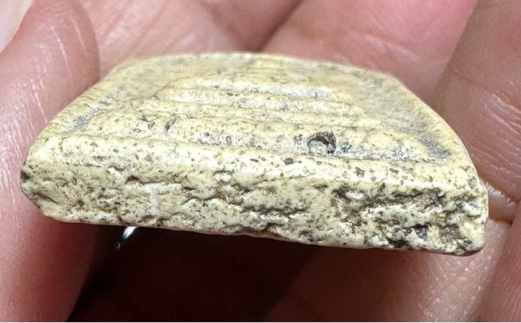 🙏พระสมเด็จพิมพ์ใหญ่🙏พระสมเด็จพิมพ์ฐานแซม องค์ละ1000 รูปที่ 6