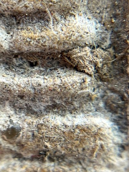 พระสมเด็จพิมพ์ใหญ่สองหน้าโรยเม็ดพระธาตุ รูปที่ 7