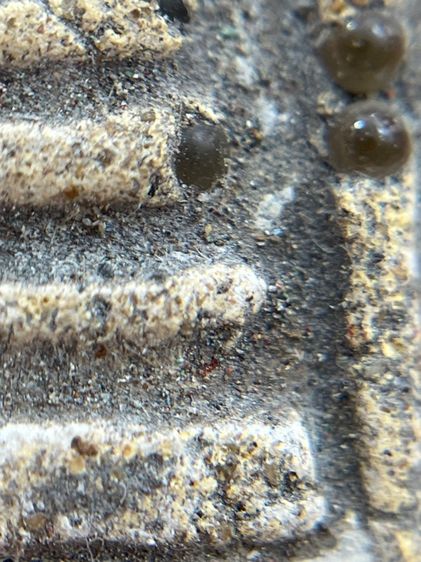 พระสมเด็จพิมพ์ใหญ่สองหน้าโรยเม็ดพระธาตุ รูปที่ 17