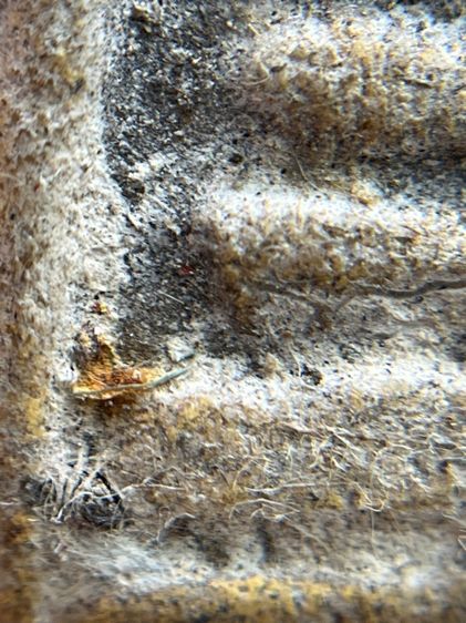 พระสมเด็จพิมพ์ใหญ่สองหน้าโรยเม็ดพระธาตุ รูปที่ 5