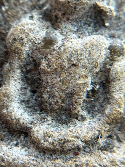 พระสมเด็จพิมพ์ใหญ่สองหน้าโรยเม็ดพระธาตุ รูปที่ 11