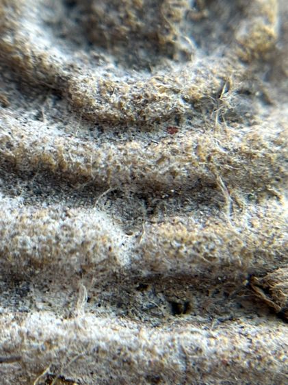 พระสมเด็จพิมพ์ใหญ่สองหน้าโรยเม็ดพระธาตุ รูปที่ 12