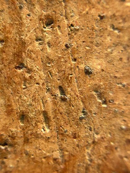 พระขุนแผมหลวงปู่ทิมเนื้อดิน รูปที่ 14