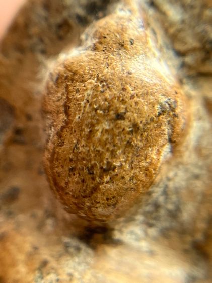 (ขายแล้ว)พระร่วงเปิดโลก กรุเตาทุเรียง สุโขทัย เนื้อดินเผา   รูปที่ 10