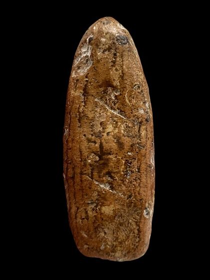 (ขายแล้ว)พระร่วงเปิดโลก กรุเตาทุเรียง สุโขทัย เนื้อดินเผา   รูปที่ 2