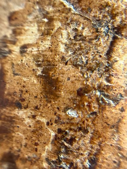 (ขายแล้ว)พระร่วงเปิดโลก กรุเตาทุเรียง สุโขทัย เนื้อดินเผา   รูปที่ 15