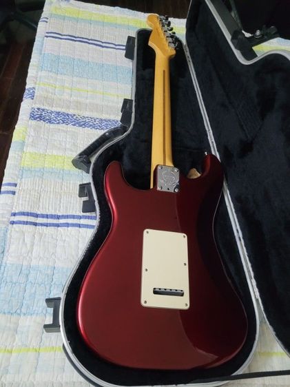 Fender American standard  รูปที่ 4