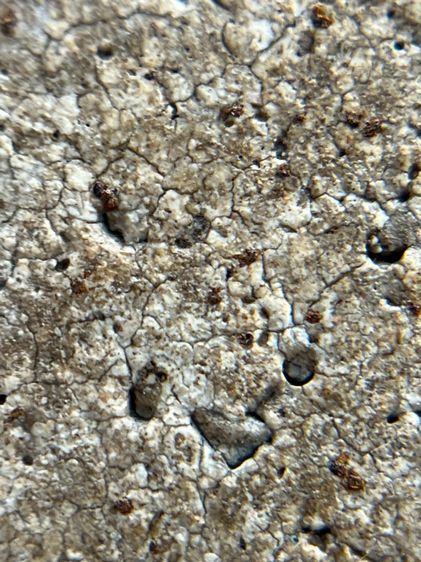 พระสมเด็จวัดระฆังพิมพ์ใหญ่ รูปที่ 13