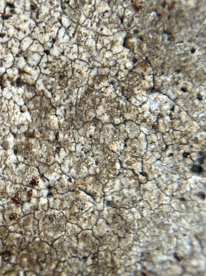 พระสมเด็จวัดระฆังพิมพ์ใหญ่ รูปที่ 17