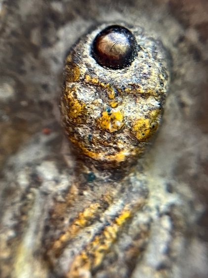 พระหลวงปู่ทวดพิมพ์สี่เหลี่ยมเนื้อสี่เหลี่ยม หลัง วจ 2404 รูปที่ 8