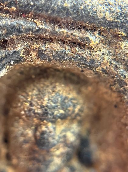 หลวงปู่ทวด พิมพ์กลัดไม้ขีด เนื้อว่าน พ.ศ.2497 รูปที่ 16