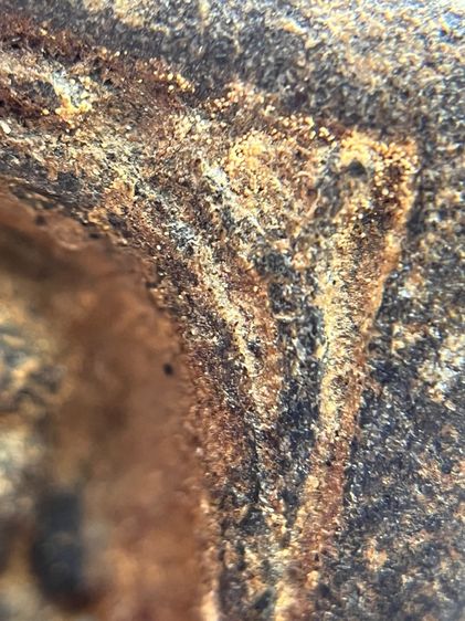 หลวงปู่ทวด พิมพ์กลัดไม้ขีด เนื้อว่าน พ.ศ.2497 รูปที่ 12